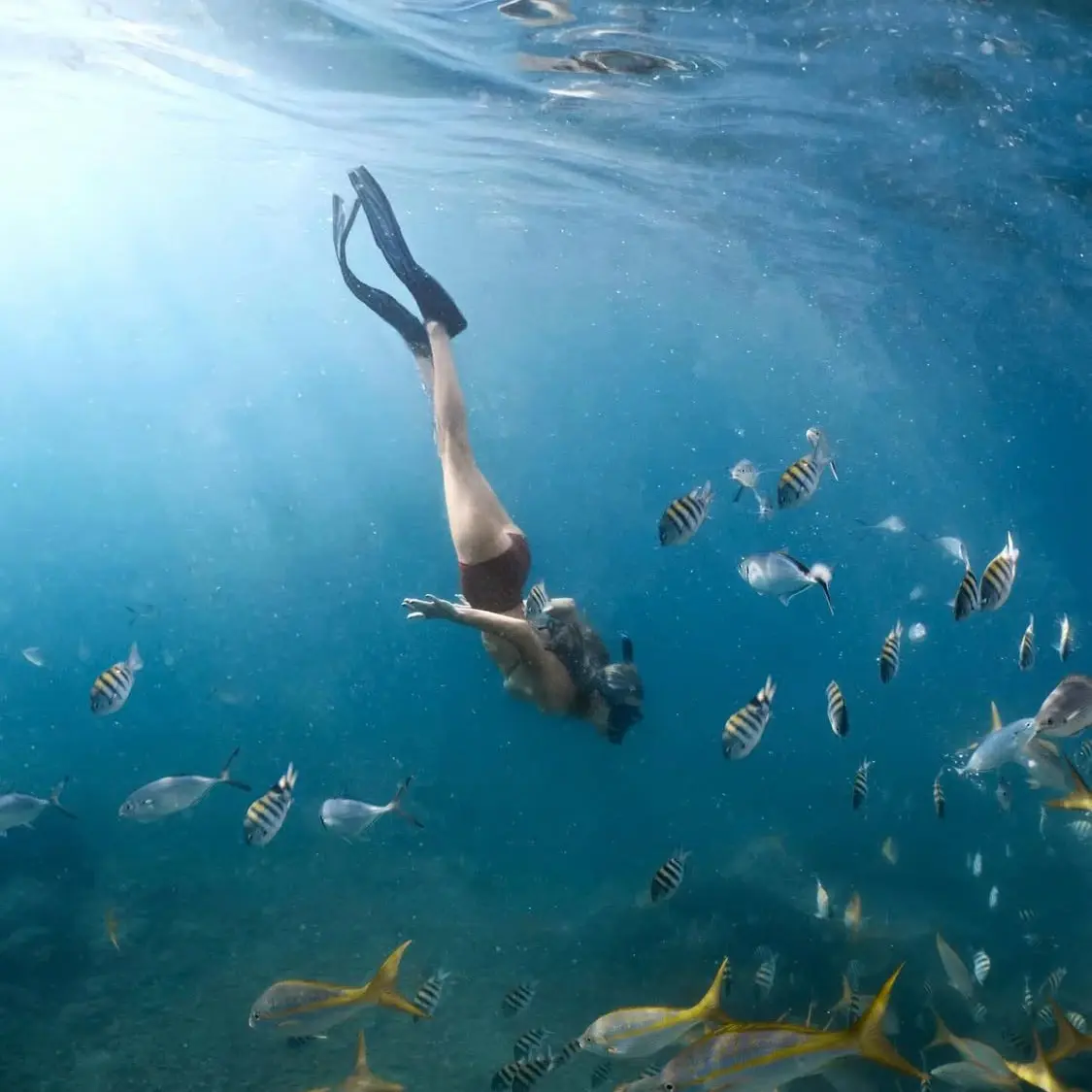 Bella Hadid 貝拉哈蒂德 超模4