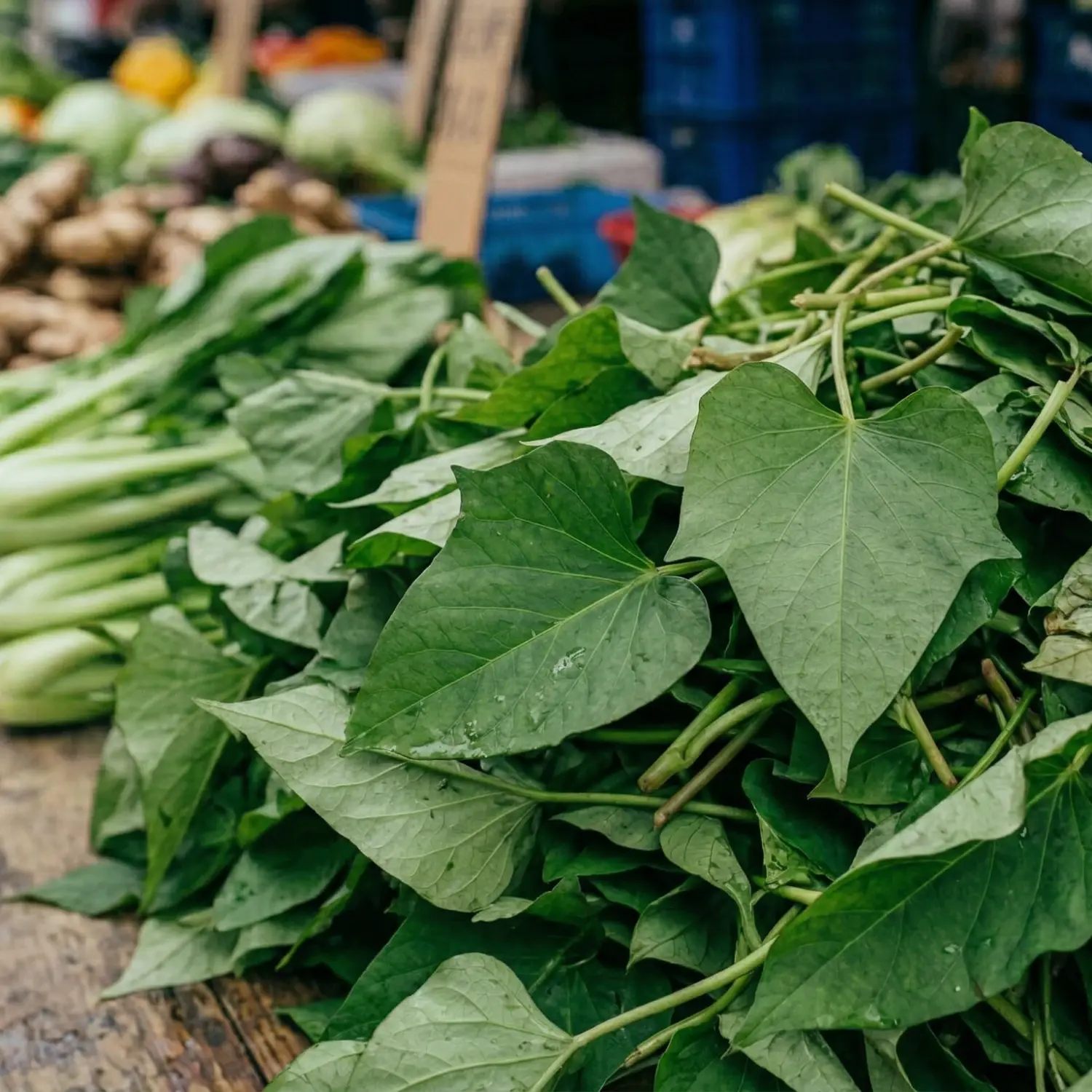 地瓜葉功效 地瓜葉熱量 地瓜葉血糖 地瓜葉膳食纖維 地瓜葉glp 1 地瓜葉怎麼吃 2