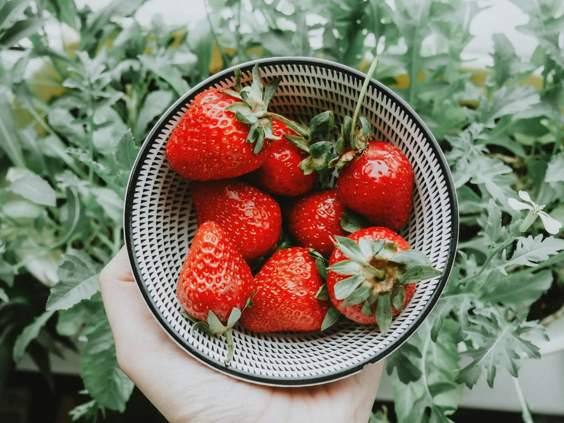 美白牙齒推薦食物：草莓strawberry