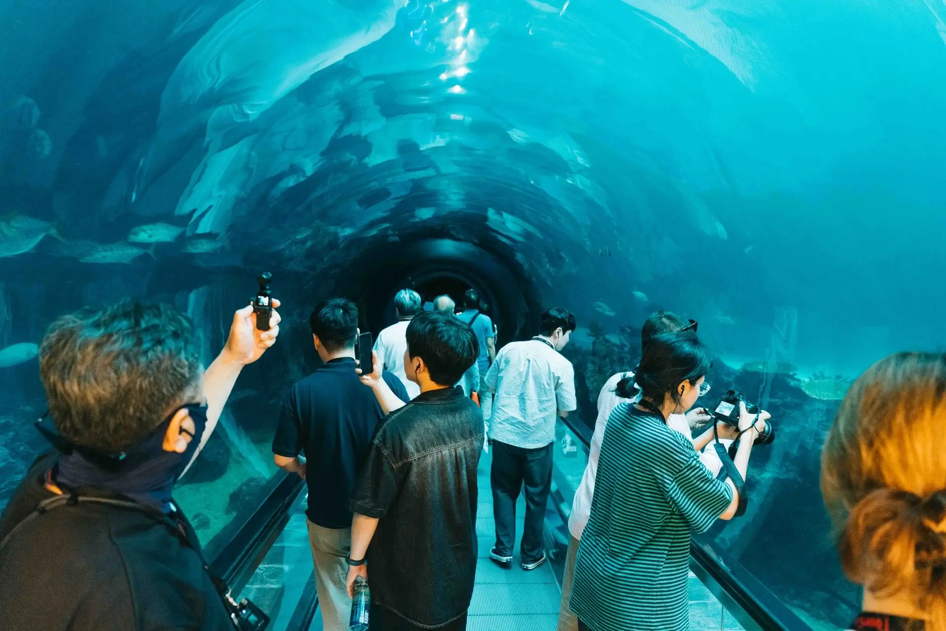 屏東景點推薦 屏東旅遊 屏東小旅行 韓國貴賓參訪海生館 3 屏東縣政府交通旅遊處