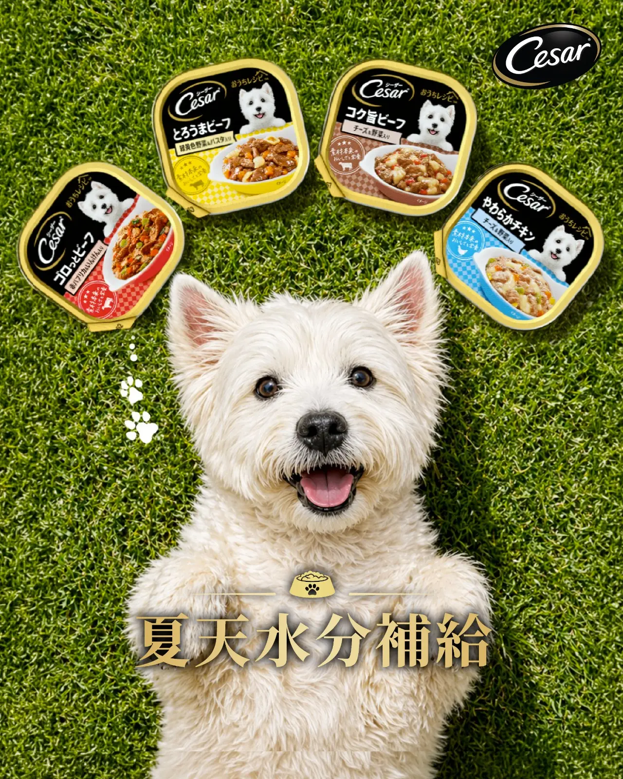 狗罐頭推薦西莎真饌燉肉系列 四種口味一次滿足