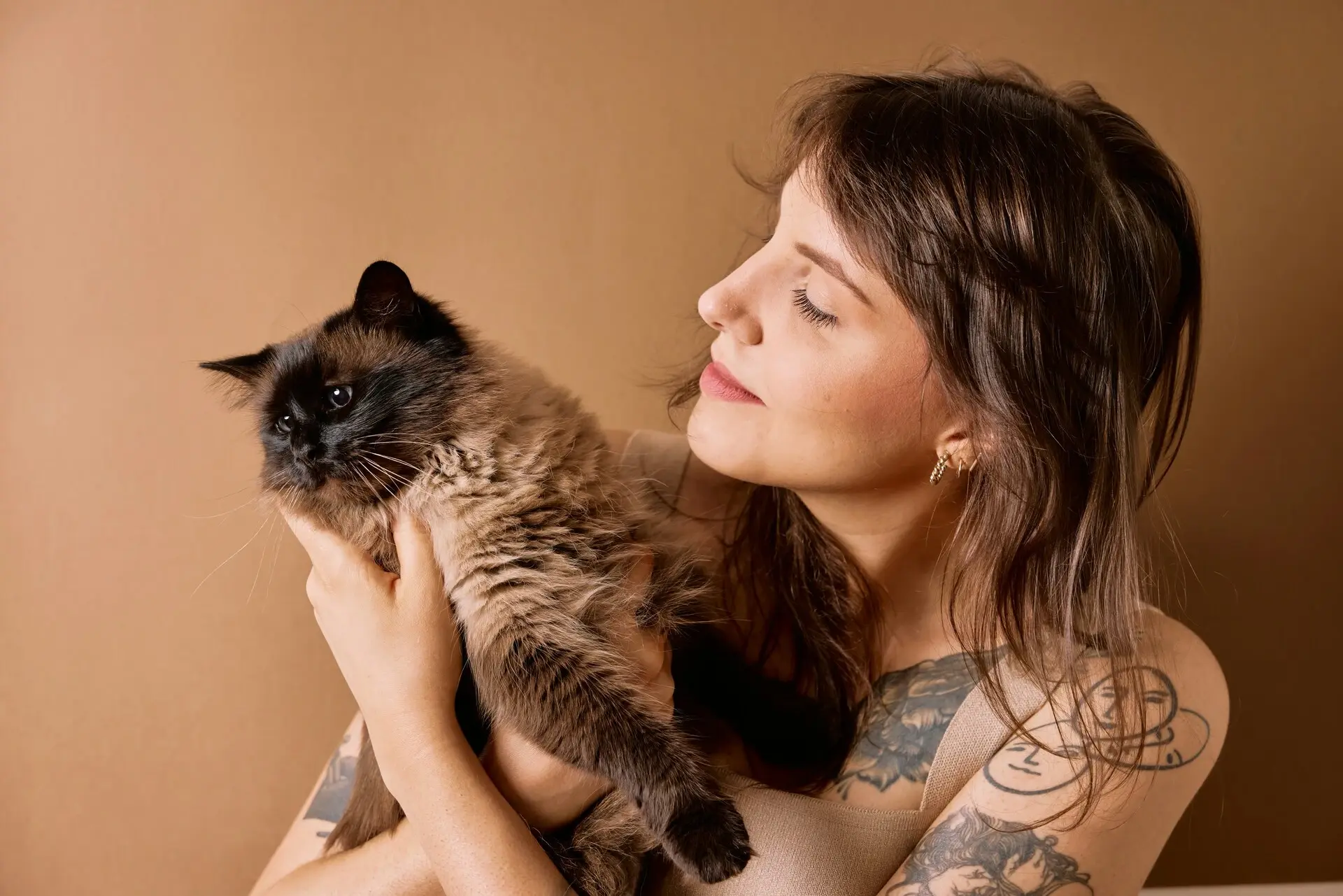 貓咪 主食罐 貓食 希寶 寵物健康 副食罐 Pet Health Sheba Cat Main Meal Cannatalia Blauth Unsplash