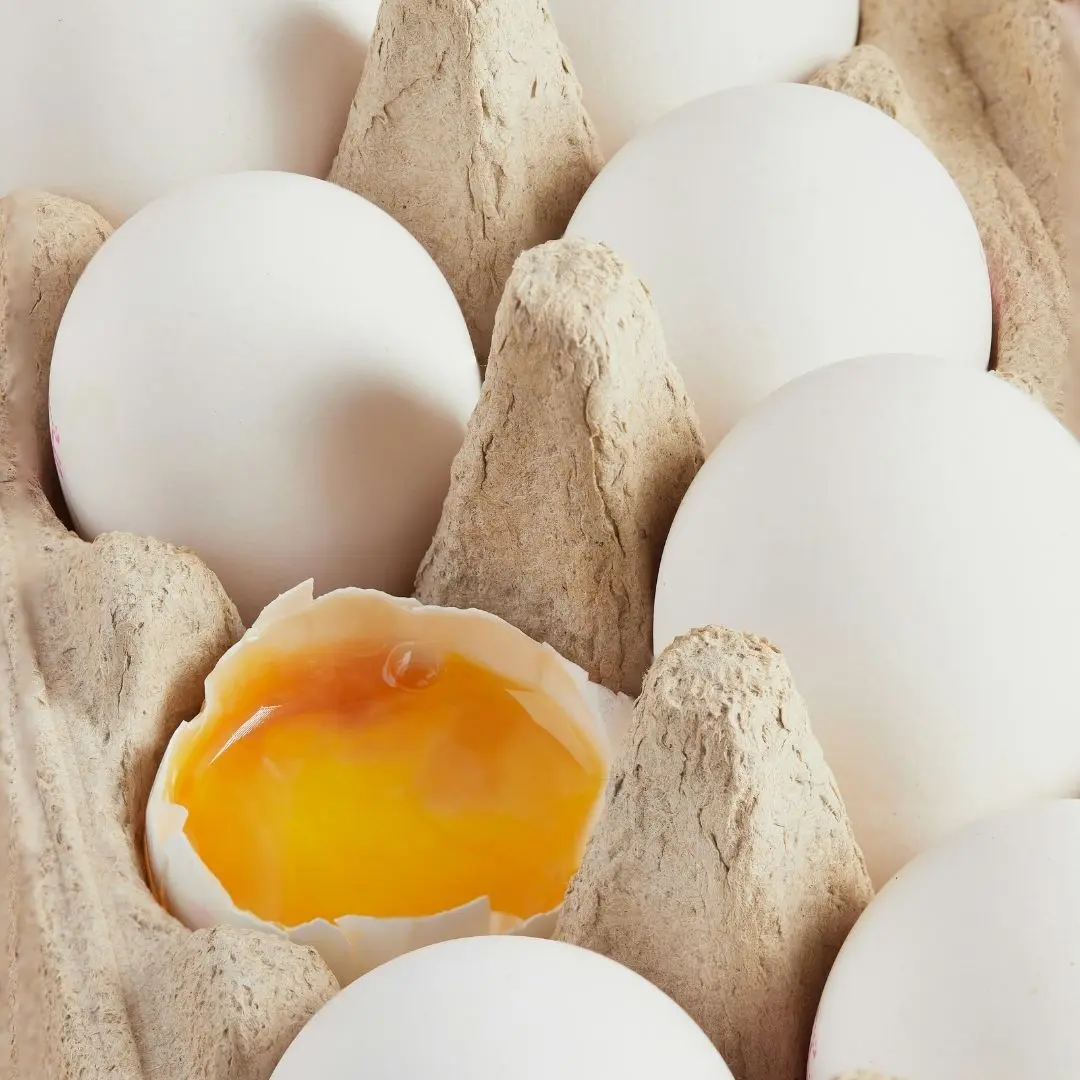 蒸蛋比例黃金公式 滑嫩 Healthy Food Steamed Egg Ratio Guide10 雞蛋 特寫 盒蛋