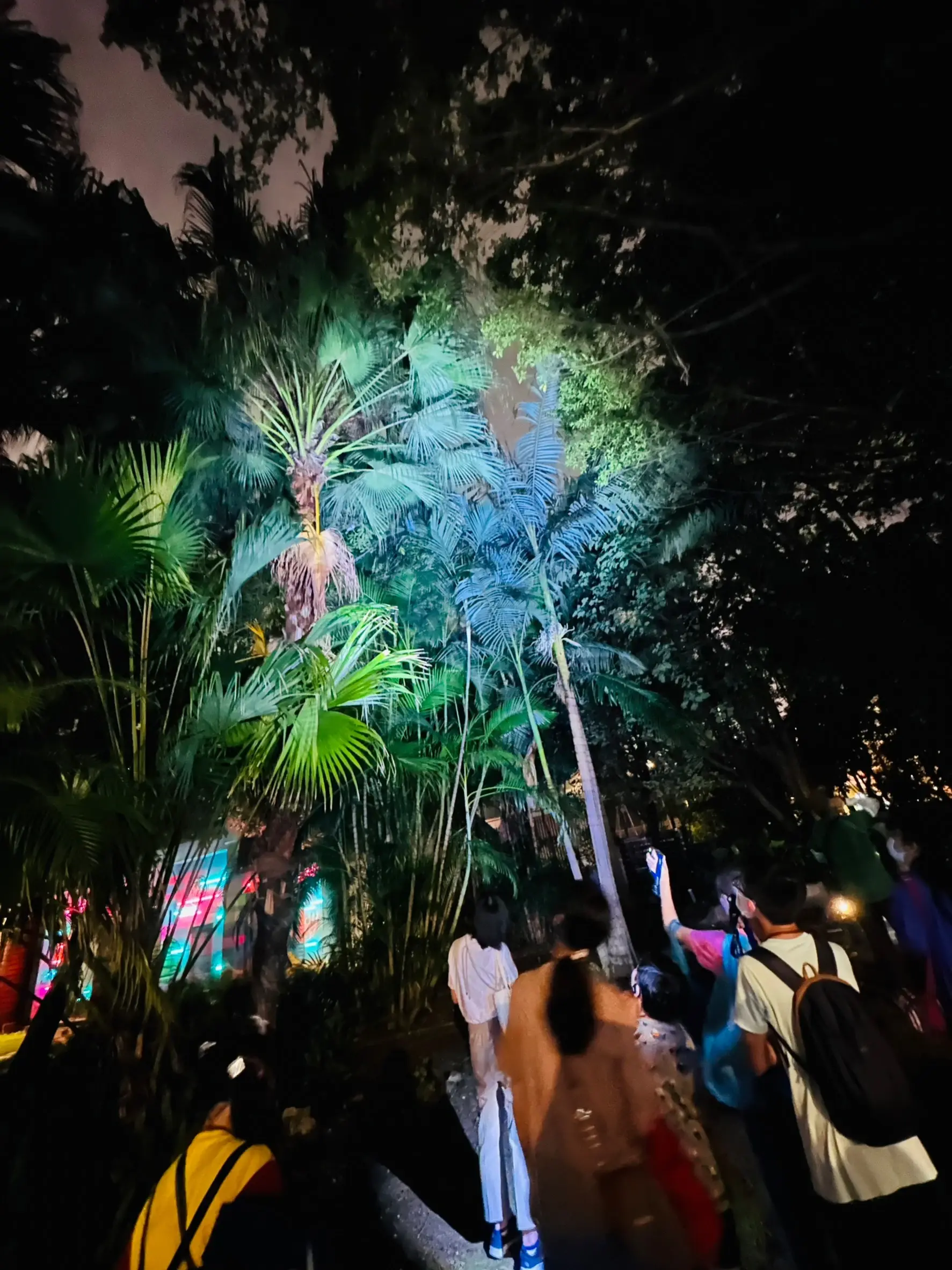 「文化」系列活動之一為「夜間生態走讀」,邀請民眾解鎖松菸的夜間自然生態。