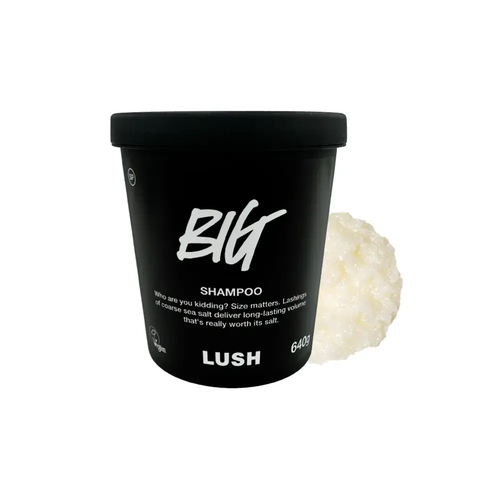 2026 控油洗髮精推薦：lush 豐盈洗髮露 Big