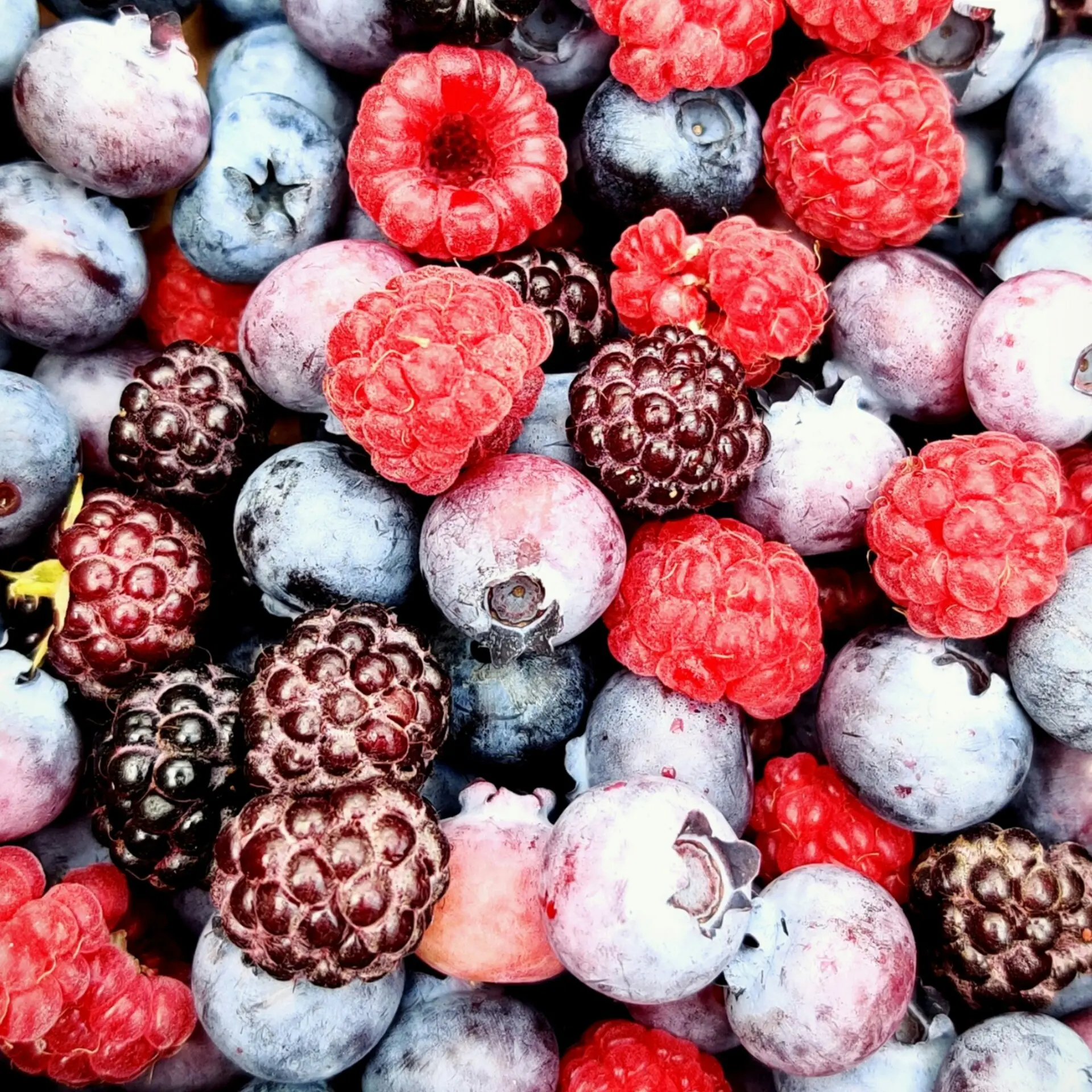 護腦飲食 護腦食物 Health Brain Diet Foods 大腦 莓果類 Sneha Cecil Unsplash