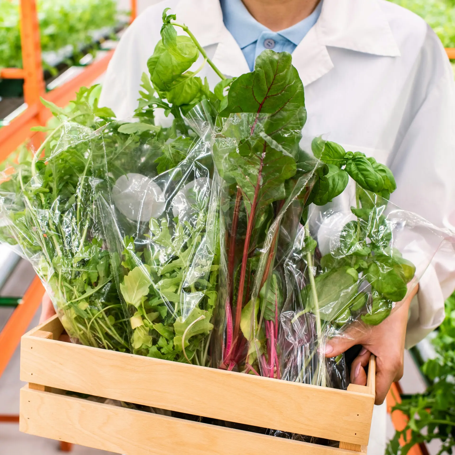 護腦飲食 護腦食物 Health Brain Diet Foods 大腦 綠色蔬菜 Getty Images Unsplash